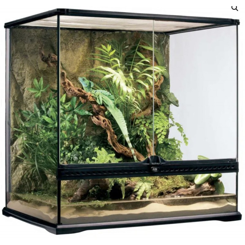 Exo Terra Natural Terrarium - Medium / Tall