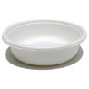 Lugarti Biodegradable Gecko Food Cups - 150 Count