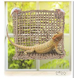 Penn-Plax Lizard Lounger - Sun-Lover