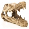 Penn-Plax Skull - Crocodile