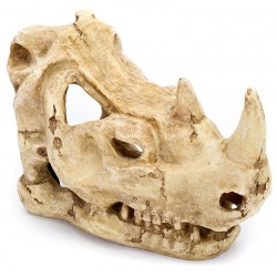 Penn-Plax Skull - Rhino