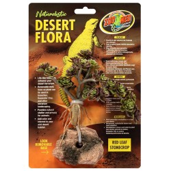 Zoo Med Desert Flora - Red Leaf Stonecrop