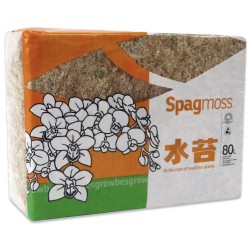 Besgrow Spagmoss - 1 KG