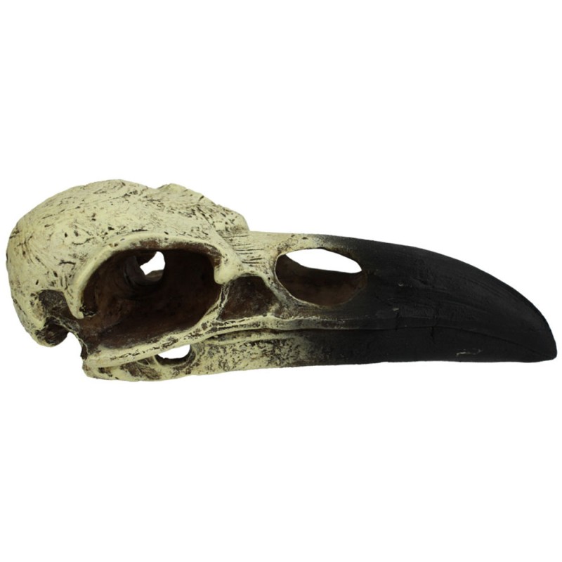 Komodo Raven Skull Hideout - Large