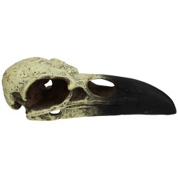 Komodo Raven Skull Hideout...