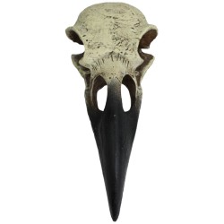 Komodo Raven Skull Hideout - Medium