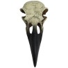 Komodo Raven Skull Hideout - Medium
