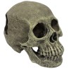 Komodo Human Skull Hideout - Full