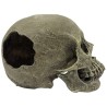 Komodo Human Skull Hideout - Full