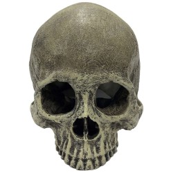 Komodo Human Skull Hideout - Half