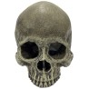 Komodo Human Skull Hideout - Half