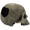 Komodo Human Skull Hideout - Half
