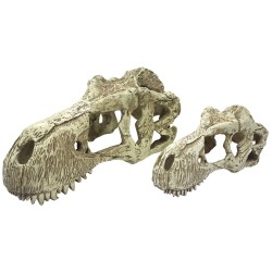 Komodo T-Rex Skull Hideout - Large