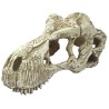 Komodo T-Rex Skull Hideout - Large