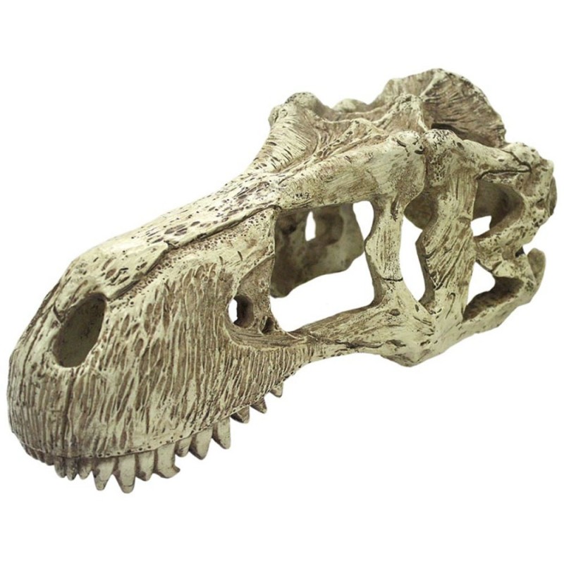 Komodo T-Rex Skull Hideout - X-Large
