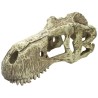 Komodo T-Rex Skull Hideout - X-Large
