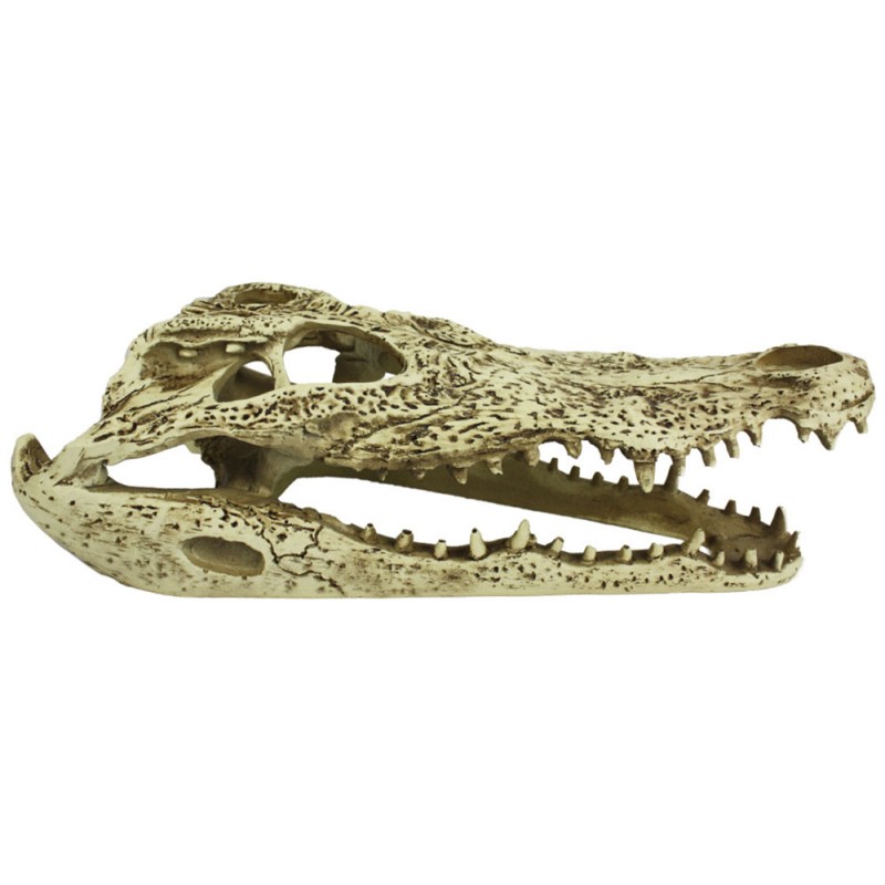 Komodo Alligator Skull Hideout