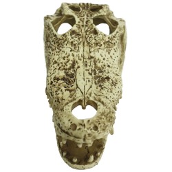 Komodo Alligator Skull Hideout