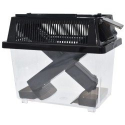 Komodo Cricket Keeper - Large