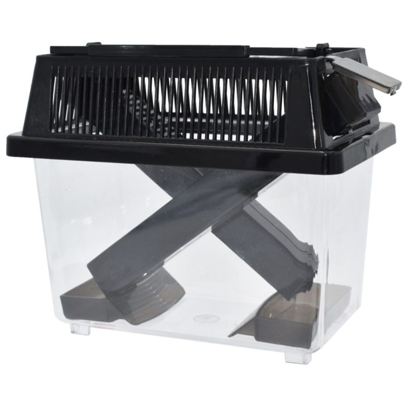 Komodo Cricket Keeper - Large