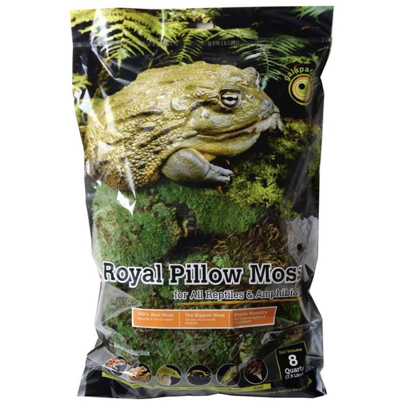 Galapagos Royal Pillow Moss - 8 qt
