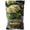 Galapagos Royal Pillow Moss - 8 qt