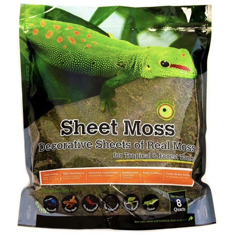 Galapagos Sheet Moss - 8 qt