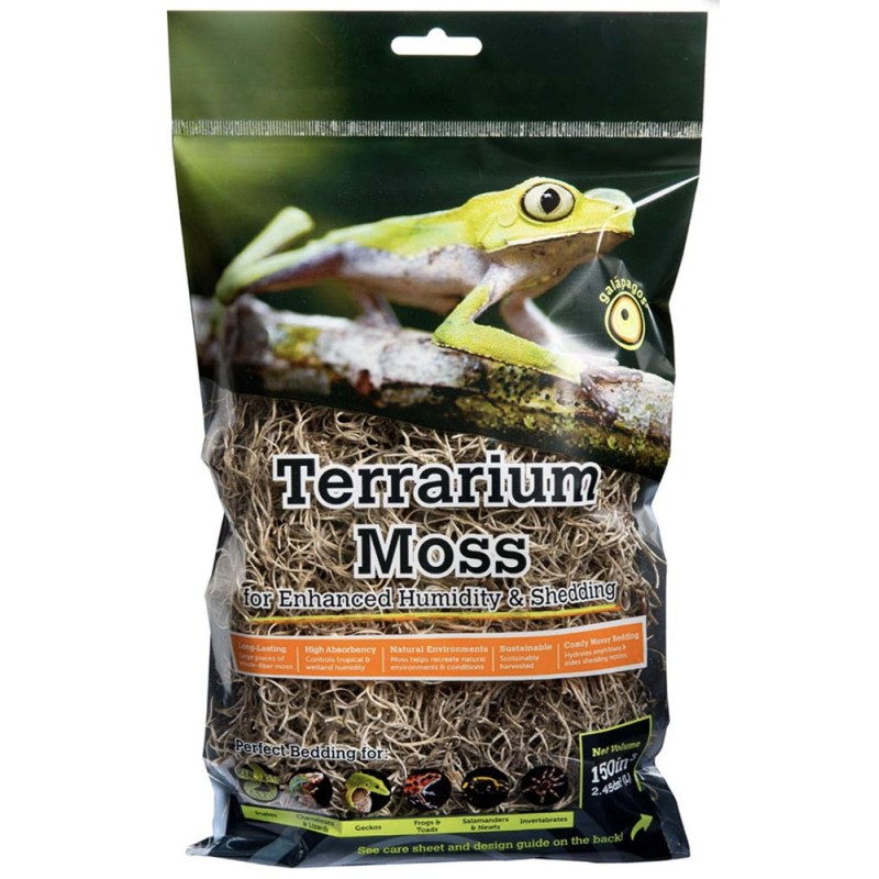 Galapagos Spanish Moss - 2.6qt