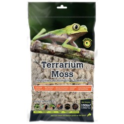 Galapagos Reindeer Moss -...