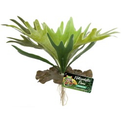 Zoo Med Staghorn Fern