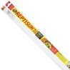 Zoo Med ReptiSun 10.0 UVB T8 Fluorescent Bulb - 24"