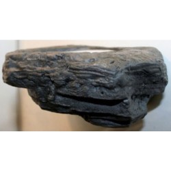 Pet-Tekk Worm Feeder Ledge - Granite - Small