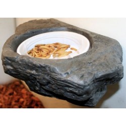 Pet-Tekk Worm Feeder Ledge...