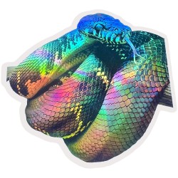 Sticker - Boelen's Python