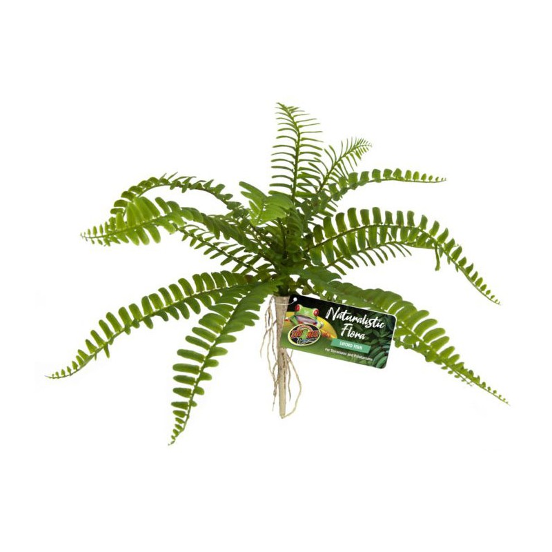 Zoo Med Sword Fern