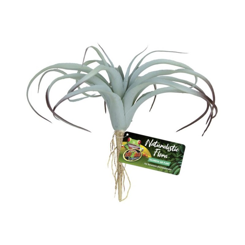 Zoo Med Tillandsia Air Plant