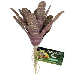 Zoo Med Chestnut Bromeliad
