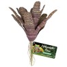 Zoo Med Chestnut Bromeliad