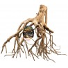 Zoo Med Talawa Mangrove Root - LG