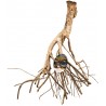 Zoo Med Talawa Mangrove Root - XL