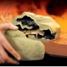Exo Terra Reptile Den - Small