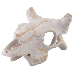 Exo Terra Skull - Buffalo -...