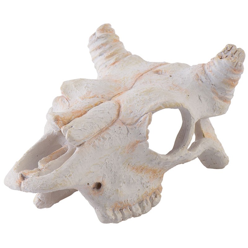 Exo Terra Skull - Buffalo - Mini