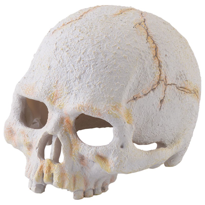 Exo Terra Skull - Primate - Mini