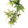 Exo Terra Jungle Plant - Croton - Small