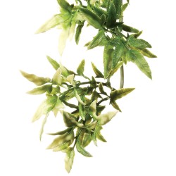 Exo Terra Jungle Plant -...
