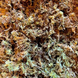 Lugarti Premium Sphagnum Moss - 150g