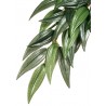 Exo Terra Jungle Plant - Ruscus - Small