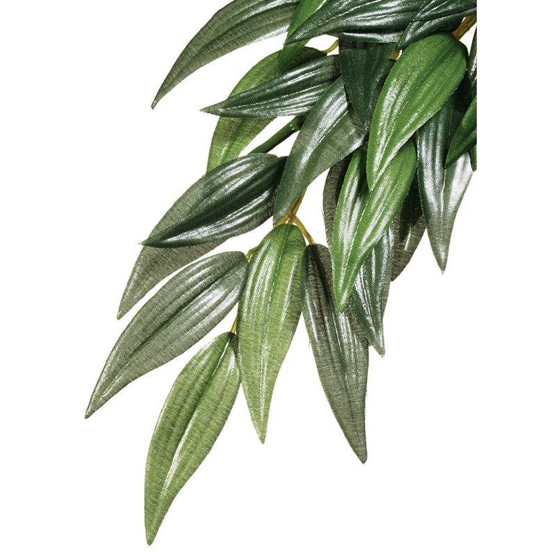 Exo Terra Jungle Plant - Ruscus - Medium