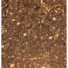 Lugarti Premium Millipede & Isopod Substrate - 8 qt